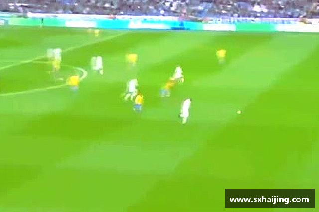 解读一竞技官网